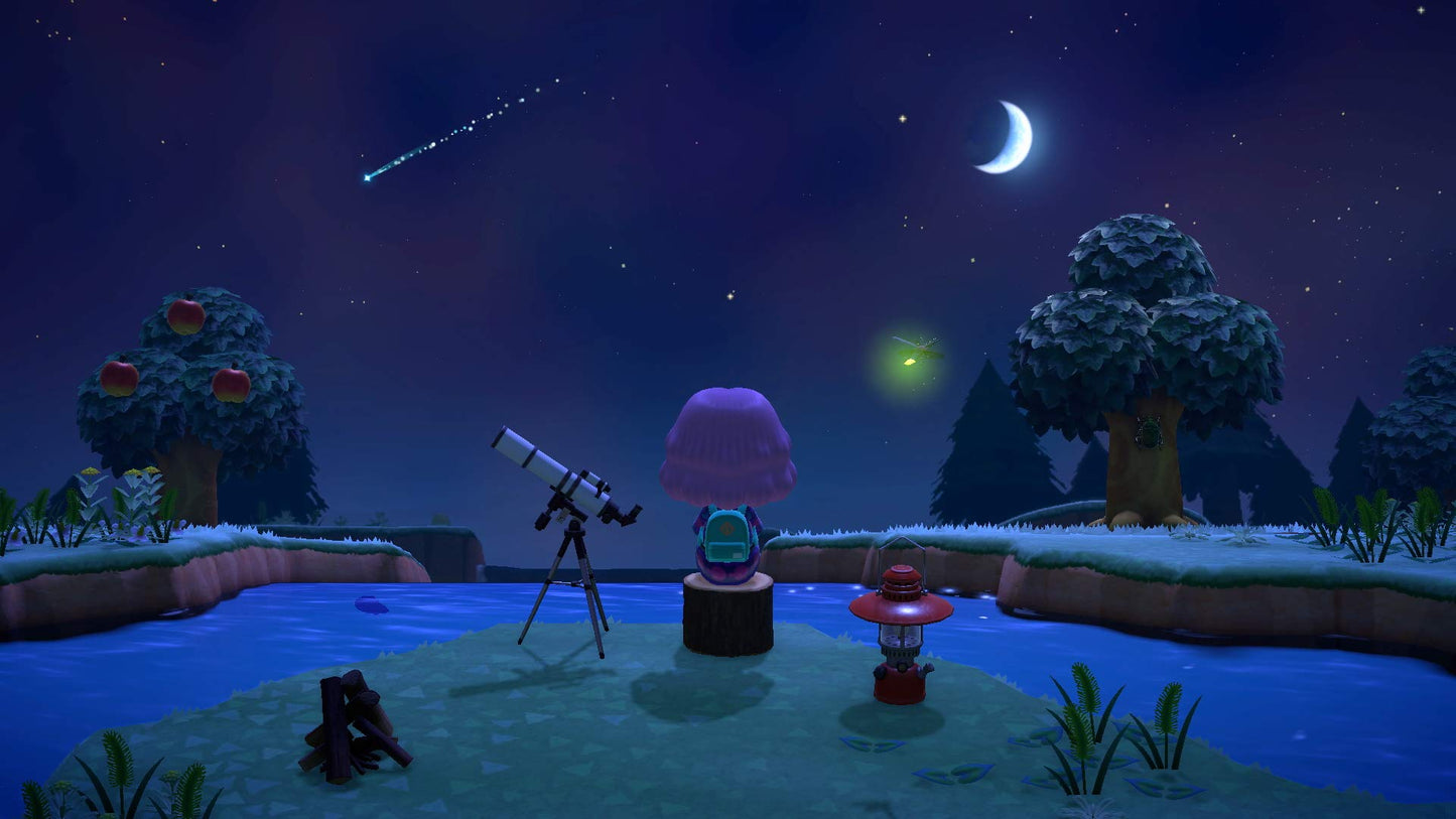 Animal Crossing: New Horizons (CAN Version)