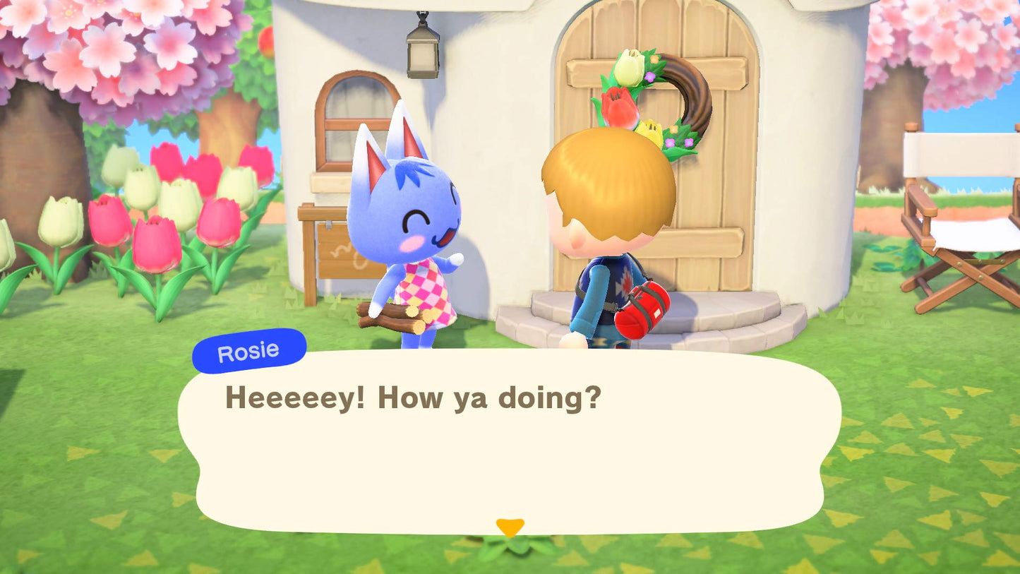 Animal Crossing: New Horizons (CAN Version)