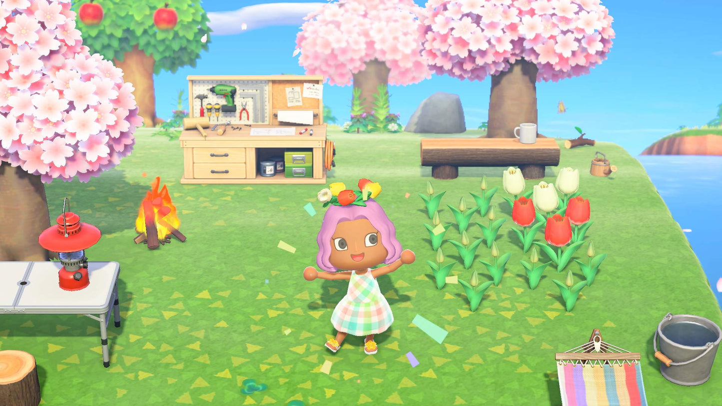 Animal Crossing: New Horizons (CAN Version)