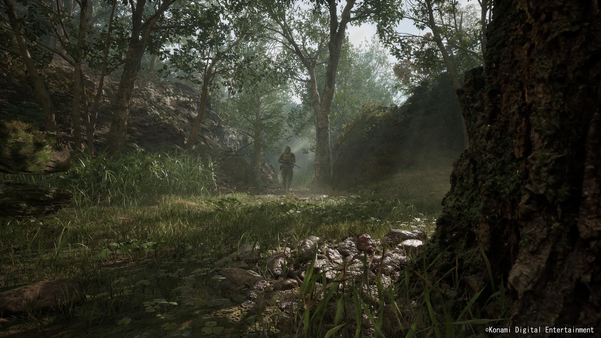 Metal Gear Solid Delta Snake Eater Xbox Series X screenshot showing a forest scene with a soldier walking in the distance