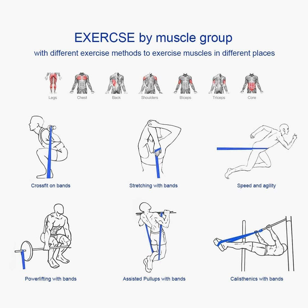 Diagram showing resistance bands for powerlifting exercises targeting different muscle groups like legs, chest, back, shoulders, biceps, triceps, and core