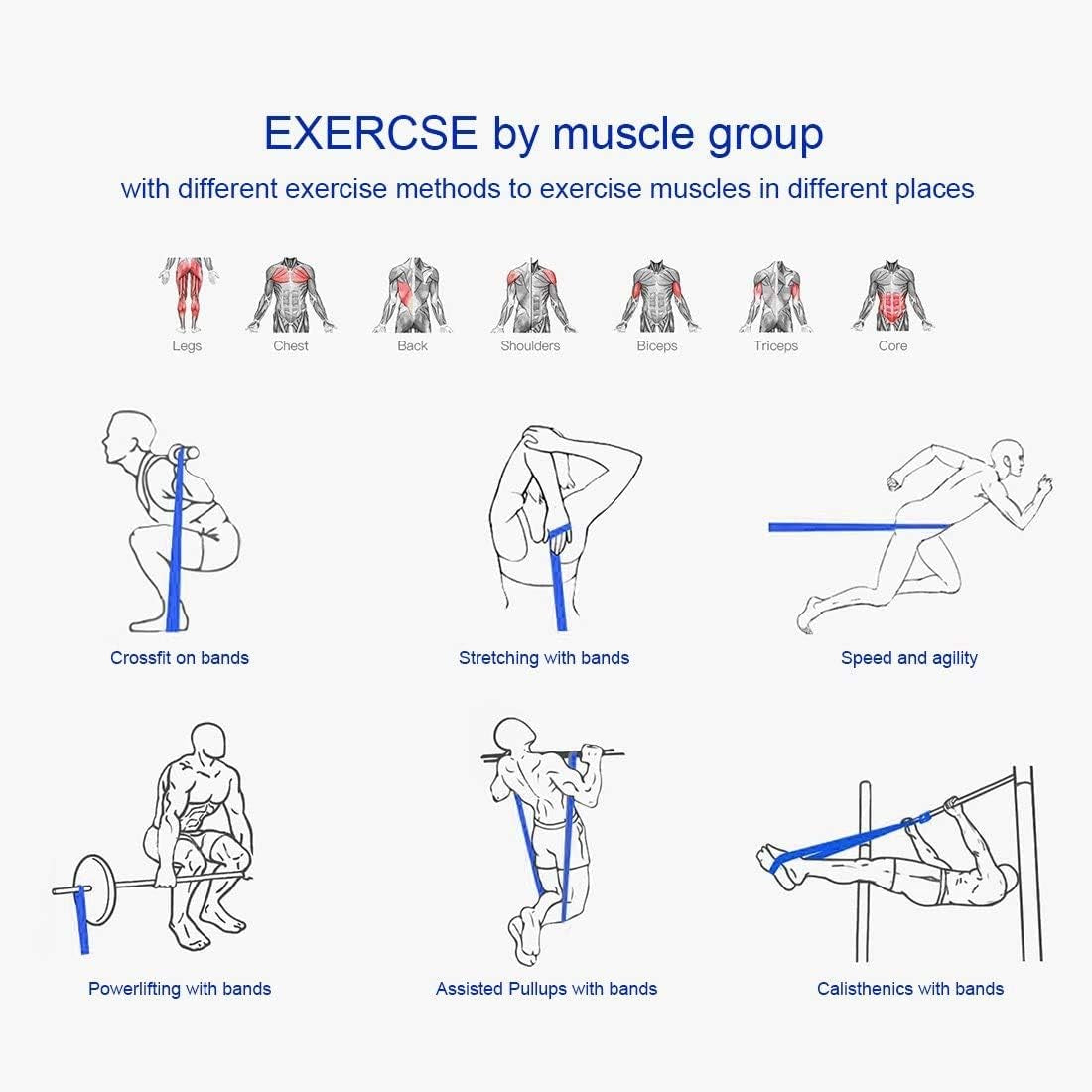 Diagram showing resistance bands for powerlifting exercises targeting different muscle groups like legs, chest, back, shoulders, biceps, triceps, and core