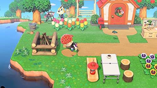 Animal Crossing New Horizons Nintendo Switch + 12-Month Online - craques