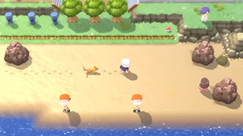 Gameplay screenshot of Pokémon Legends Arceus Nintendo Switch showing character walking on a beach with a Pokémon companion