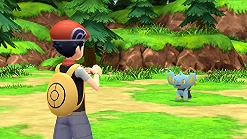 Gameplay scene from Pokémon Legends Arceus Nintendo Switch featuring a trainer encountering a Shinx in a forest area