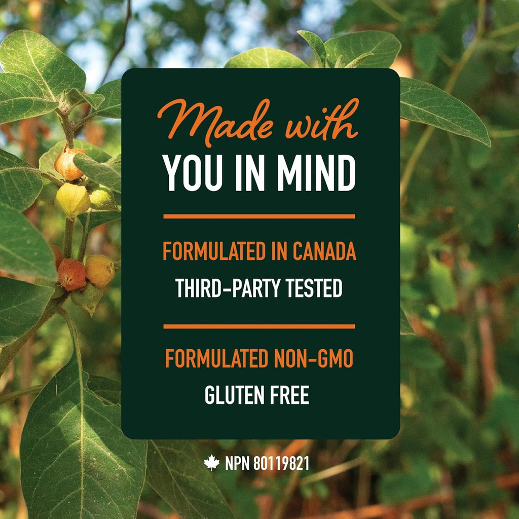 Ashwagandha supplement 1300mg label showing formulated in Canada non-GMO gluten free and third-party tested