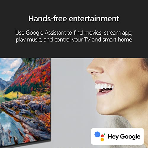 Sony 65 inch 4K Smart TV BRAVIA XR Full Array LED