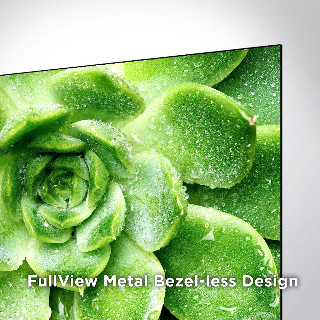 Close-up of TCL 55 inch 4K smart TV with full view metal bezel-less design displaying a green succulent plant
