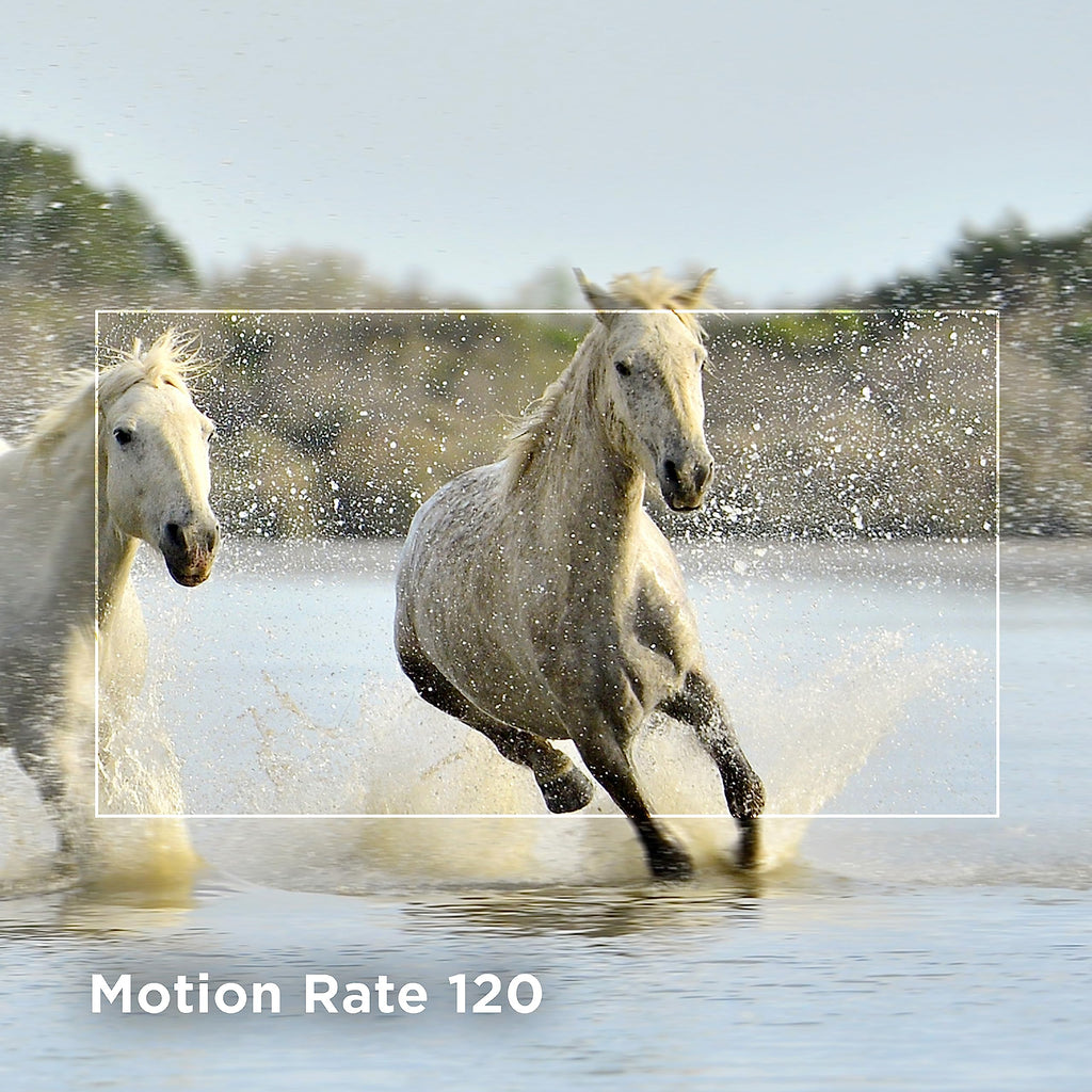 TCL 55 inch 4K smart TV showing two white horses running through water with motion clarity